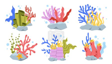 Illustration for Set of corals concept. Blue and red plants near stones. Nature, ecology and wildlife. Sea and ocean flora. Poster or banner. Cartoon flat vector collection isolated on white background - Royalty Free Image