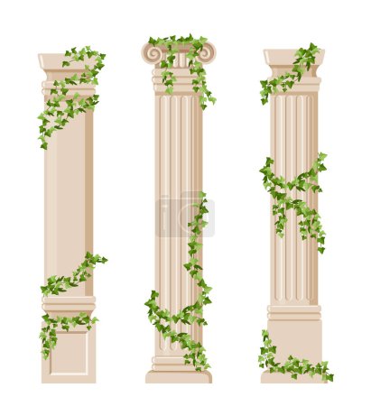Illustration for Ivy covered columns set. Ancient architecture, ancient rome and greece. Art objects. Museum and exhibition. Template and mock up. Cartoon flat vector collection isolated on white background - Royalty Free Image