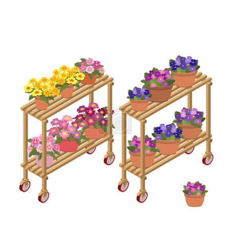 Téléchargez les illustrations : Les plantes d'intérieur sont sur un rack. Fleurs en pots de fleurs sur des étagères. Équipement 3D isométrique pour une boutique de fleurs ou une serre. Support de plante d'intérieur isolé sur blanc. Ensemble d'onagre et de violet. Vecteur. - en licence libre de droit