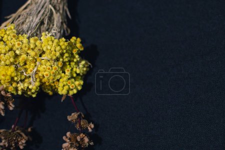 A bouquet of yellow dried flowers on a black background