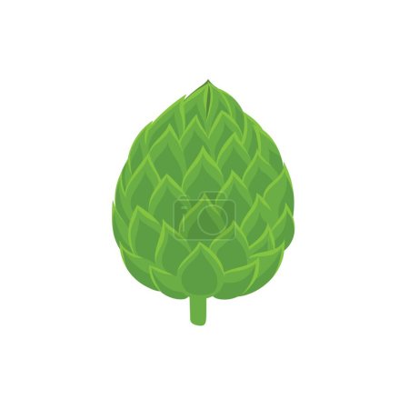 Ilustración de Cabeza de flor de alcachofa verde elemento aislado. Impresión de alimentos saludables para el menú y recetas del mercado agrícola. Ilustración vectorial - Imagen libre de derechos