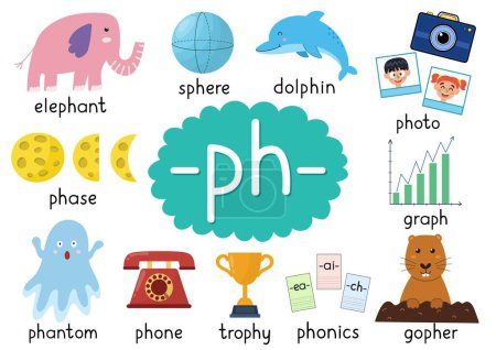 Illustration for Ph digraph spelling rule educational poster set for kids with words gopher, photo, elephant, phone and others. Learning phonics for school and preschool. Phonetic worksheet. Vector illustration - Royalty Free Image
