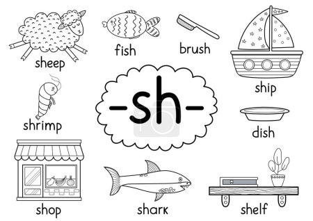 Ilustración de Regla de ortografía Sh digraph cartel educativo en blanco y negro para niños con palabras. Aprender-sh- fonética para la escuela y preescolar. Hoja de trabajo fonética. Ilustración vectorial - Imagen libre de derechos