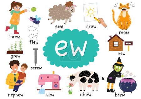 Illustration for -Ew- digraph spelling rule educational poster for kids with words. Learning -ew- phonics sound for school and preschool. Phonetic worksheet. Vector illustration - Royalty Free Image
