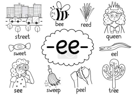 Illustration for Ee digraph spelling rule black and white educational poster for kids with words. Learning -ee- phonics for school and preschool. Phonetic worksheet. Vector illustration - Royalty Free Image
