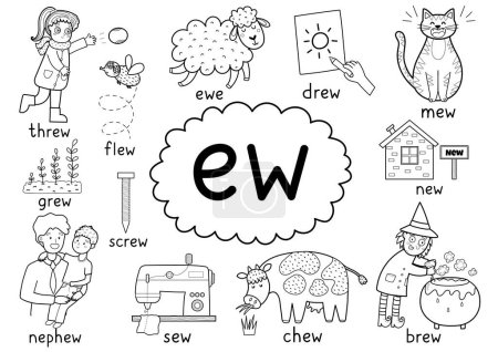 Illustration for -Ew- digraph spelling rule black and white educational poster for kids with words. Learning -ew- phonics sound for school and preschool. Phonetic worksheet. Vector illustration - Royalty Free Image