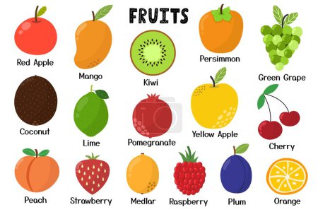 Fruits collection. Healthy food isolated elements in cartoon style. Great for recipes, cookbook and vegan prints. Apple, mango, kiwi, coconut and more. Vector illustration