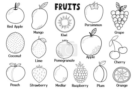 Colección de frutas en blanco y negro. Comida saludable elementos aislados en estilo de dibujos animados. Ideal para colorear página, recetas, libro de cocina. Manzana, mango, kiwi, coco y más. Ilustración vectorial
