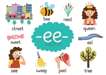 Ilustración de Ee digraph con palabras póster educativo para niños. Aprender fonética para la escuela y preescolar. Hoja de trabajo fonética. Ilustración vectorial - Imagen libre de derechos