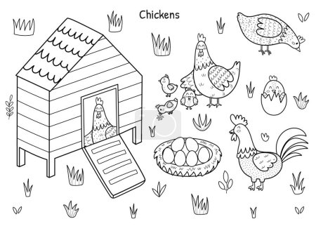 Conjunto de pollo blanco y negro con una linda gallina, gallo, polluelos y huevos. Pollo con un pájaro dentro. Colección de personajes de granja para colorear libro. Ilustración vectorial