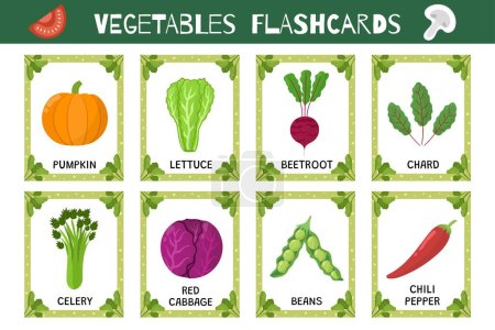 Vegetables flashcards set. Flash cards collection for practicing reading skills. Learn food vocabulary for school and preschool. Pumpkin, lettuce, celery and more. Vector illustration