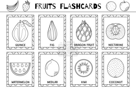 Obst Karteikarten Schwarz-Weiß-Sammlung. Gesundes Essen Flash-Karten-Set für die Färbung Schule und Vorschule. Drachenfrucht, Kiwi, Kokosnuss und mehr. Vektorillustration