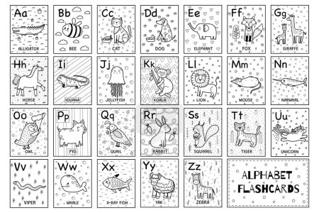 Illustration for Alphabet black and white flashcards collection with cute animals. ABC flash cards set for coloring in outline. Great for school and preschool. Vector illustration - Royalty Free Image
