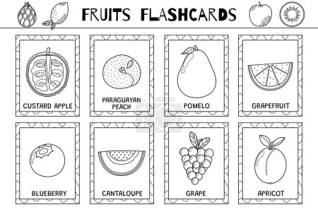 Obst-Karteikartensammlung. Karteikarten für gesunde Lebensmittel zum Ausmalen in Umrissen. Blaubeeren, Cantaloupe, Trauben und mehr. Vektorillustration