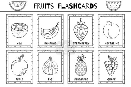 Obst Karteikarten Schwarz-Weiß-Sammlung. Flash-Karten zum Ausmalen in Umrissen. Lernen Sie Vokabeln für Lebensmittel. Kiwi, Bananen, Erdbeeren und mehr. Vektorillustration