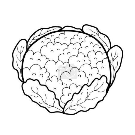 Téléchargez les illustrations : Chou-fleur en élément isolé noir et blanc. Légume de chou dans les grandes lignes pour la coloration. Impression alimentaire saine. Illustration vectorielle - en licence libre de droit