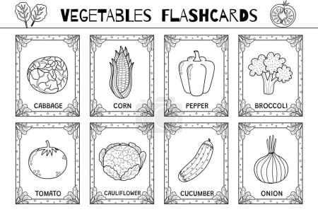 Gemüse Karteikarten schwarz-weiß Set. Karteikartensammlung zum Ausmalen in Umrissen. Lernen Sie Essensvokabeln für Schule und Vorschule. Mais, Paprika, Kohl und mehr. Vektorillustration
