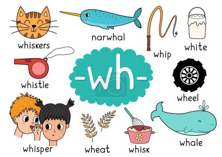 Wh digraph regla de ortografía cartel educativo para niños con palabras. Aprender-wh- fonética para la escuela y preescolar. Hoja de trabajo fonética. Ilustración vectorial