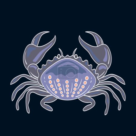 Bunte blaue Krabbe. Vektorillustration. Meereswesen im Cartoon-Design. Schalenkrebse Symbol isoliert auf schwarzem Hintergrund. Wassertier mit Krallen