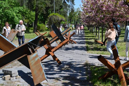 Photo for Kyiv, Ukraine - May 6, 2023: People walk past anti-tank obstacles to admire the cherry blossoms on the world's longest cherry blossom avenue. - Royalty Free Image
