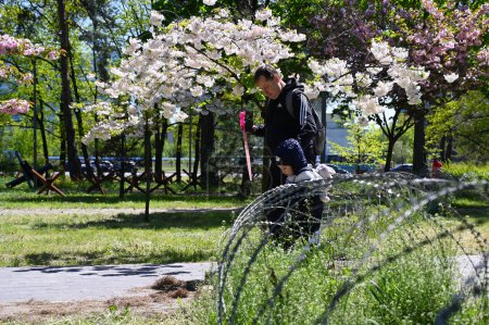 Photo for Kyiv, Ukraine - May 6, 2023: A father with a child steps over the barbed wire fence at the entrance to the sakura alley - Royalty Free Image