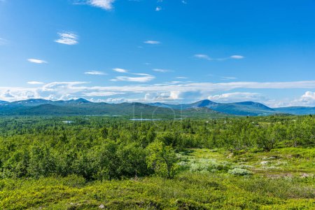 Schöner Sommerblick aus dem weiten schwedischen Hochland, mit kleinen Seen, umgeben von grüner Vegetation, hellem Sonnenlicht und einer Bergkette in der Ferne