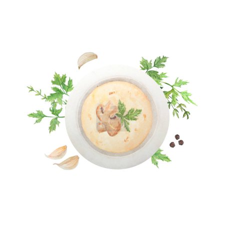Téléchargez les photos : Illustration aquarelle de champignons et feuilles de persil vert, ail, poivre, assiette avec soupe aux champignons. Dessiné à la main à l'aquarelle et isolé sur un fond blanc. Idéal pour l'impression sur tissu - en image libre de droit