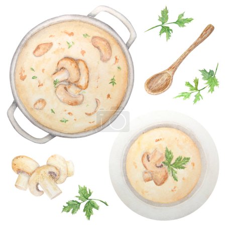 Téléchargez les photos : Illustration aquarelle de champignons, persil vert et assiette et casserole avec soupe aux champignons. Dessiné à la main à l'aquarelle et isolé sur un fond blanc. Idéal pour imprimer sur tissu, cartes postales - en image libre de droit