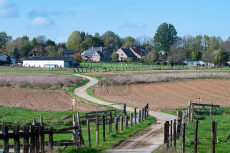 Téléchargez les photos : Asse ter Heide, Brabant flamand, 11 02 2022 - Sentier pédestre à travers les champs à la campagne flamande - en image libre de droit