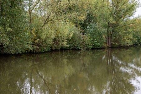 Foto de Árboles reflejados en el agua del río Dender, Aalst, Flandes, Bélgica - Imagen libre de derechos