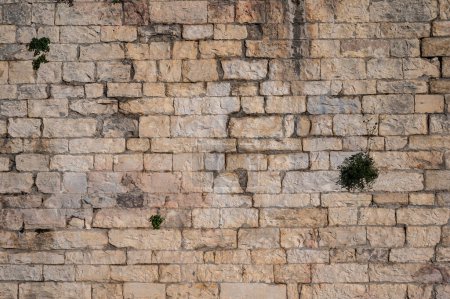 Téléchargez les photos : Nimes, Occitanie, France, 12 31 2022 - Textured brick stone wall of an ancient building - en image libre de droit