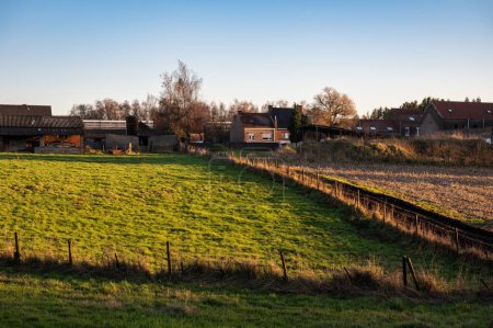 Foto de Green farmland and brown soil at the Flemish countryside around Tienen, Flanders, Belgium - Imagen libre de derechos