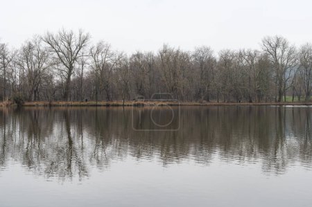 Foto de Reflejando árboles desnudos en el estanque del dominio provincial, Kessel-Lo, Brabante, Bélgica - Imagen libre de derechos