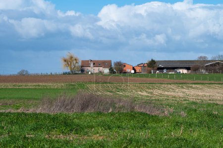 Téléchargez les photos : Old farmhouses and wild agriculture fields around Asse, Flemish Brabant Region, Belgium - en image libre de droit