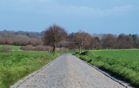 Téléchargez les photos : Vieille route de galets à travers les champs autour d'Asse, Brabant flamand, Belgique - en image libre de droit