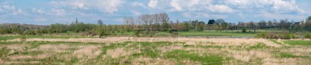 Foto de Vista panorámica extra grande sobre los campos verdes y amarillos alrededor de Diest, Brabante Flamenco, Bélgica - Imagen libre de derechos