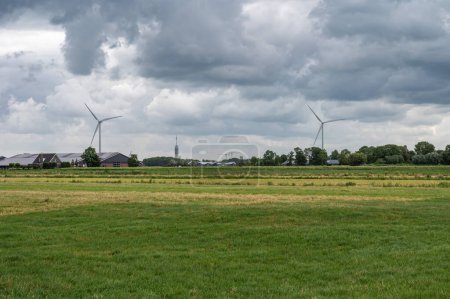 Téléchargez les photos : Pelouse verte et moulins à vent en arrière-plan à la campagne néerlandaise autour de Hazerswoude-Rijndijk, Pays-Bas - en image libre de droit