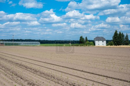 Foto de Sown farmland en la campiña alemana alrededor de Viersen, Renania del Norte Westfalia, Alemania - Imagen libre de derechos