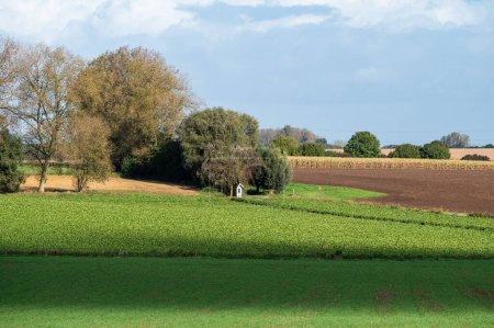 Téléchargez les photos : Champs agricoles colorés et collines à la campagne flamande autour de Relegem, Asse, Belgique - en image libre de droit