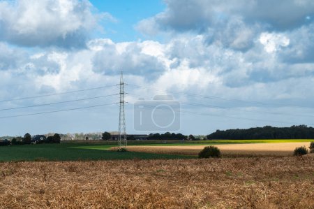 Téléchargez les photos : Champs de blé doré et pôle haute tension dans la campagne flamande autour d'Ossel, Brabant flamand, Belgique - en image libre de droit