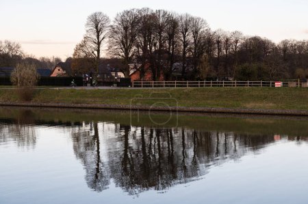 Photo for Bare trees reflecting in the calm water of the canal at dusk, Grimbergen, Brabant, Belgium - Royalty Free Image