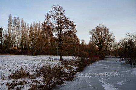 The frozen Molenbeek creek through a natural winter landscape in Jette, Brussels, Belgium