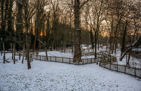 Landscape view over a park with wooden hedges, covered with snow, Jette, Brussels, Belgium