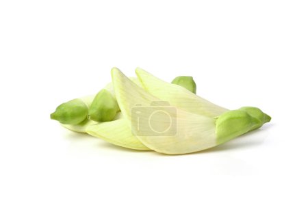 Photo for Sesban, Agasta flower, Vegetable humming bird isolated on white background. - Royalty Free Image
