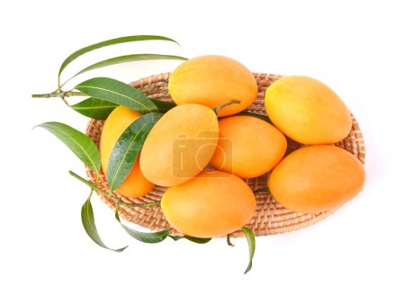 Foto de Dulce Mariana Ciruela. Fruta tropical, Mayongchid, Maprang en cesta tejida aislada sobre fondo blanco. - Imagen libre de derechos