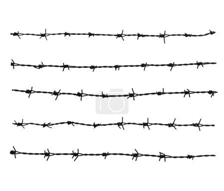 Photo for 5 Barbed wire. Fence with barbed wire. Holocaust. Concentration camp. Prisoners. Border fence. Depressive. isolated on white background - Royalty Free Image