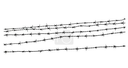 Barbed wire. Genocide. Concentration camp. Prisoners. Border fence. Depression. Isolated on white background.-stock-photo