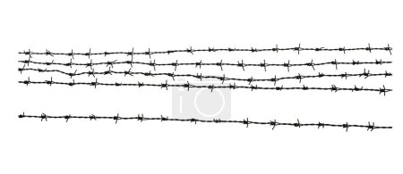 Photo for Barbed wire. Fence with barbed wire. Holocaust. Concentration camp. Prisoners. Border fence. Depressive. isolated on white background - Royalty Free Image