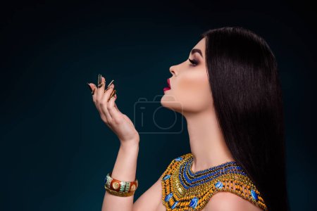 Foto de Foto de perfil lateral de la perfecta emperatriz egipcia ideal lady cat malvado mago atraer a los hombres con magia oscura. - Imagen libre de derechos