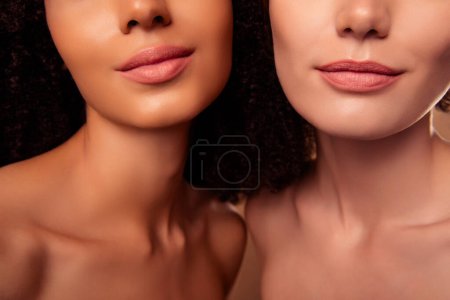 Photo for Cropped photo of two people girls apply matte poamde do lips enhancement wrinkles tightening over pastel background. - Royalty Free Image